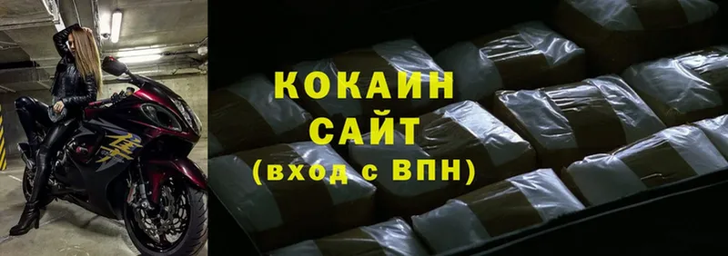 закладки  Мичуринск  Cocaine Fish Scale 