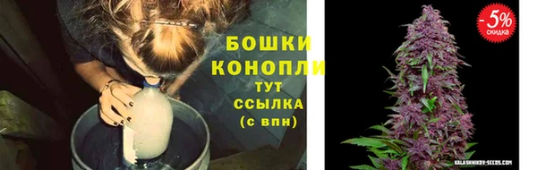 амф Новокубанск