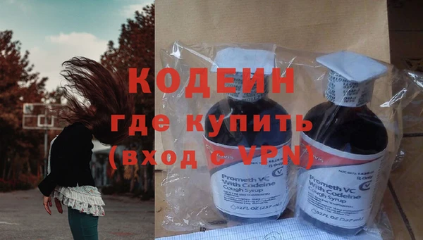 ПСИЛОЦИБИНОВЫЕ ГРИБЫ Новозыбков