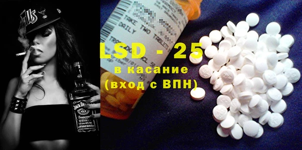 ПСИЛОЦИБИНОВЫЕ ГРИБЫ Новозыбков