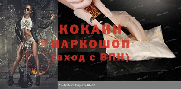 ПСИЛОЦИБИНОВЫЕ ГРИБЫ Новозыбков