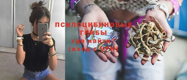 амф Новокубанск