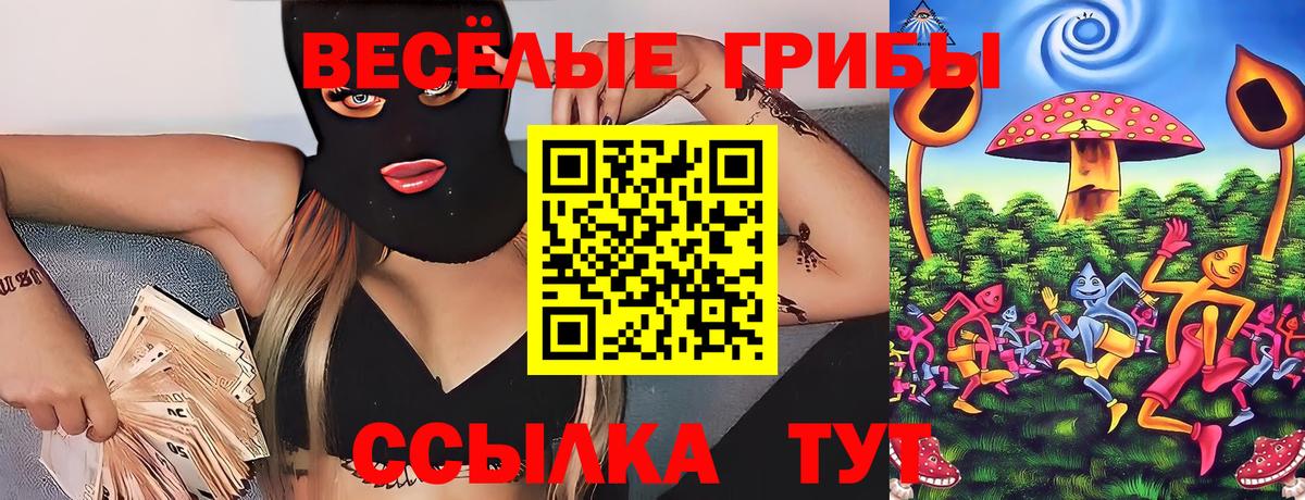 Псилоцибиновые грибы Psilocybine cubensis Мичуринск