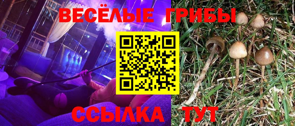 Галлюциногенные грибы GOLDEN TEACHER  Галлюциногенные грибы Magic Shrooms  Вход с VPN  Мичуринск 